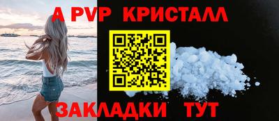 крисы Новокубанск
