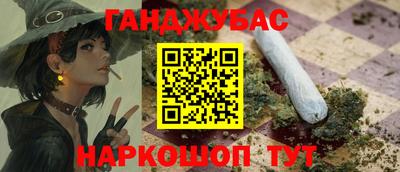 крисы Новокубанск