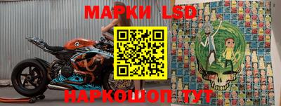 крисы Новокубанск