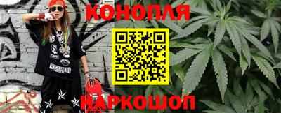крисы Новокубанск
