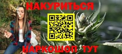 крисы Новокубанск