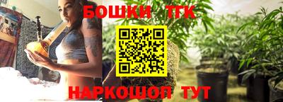 крисы Новокубанск