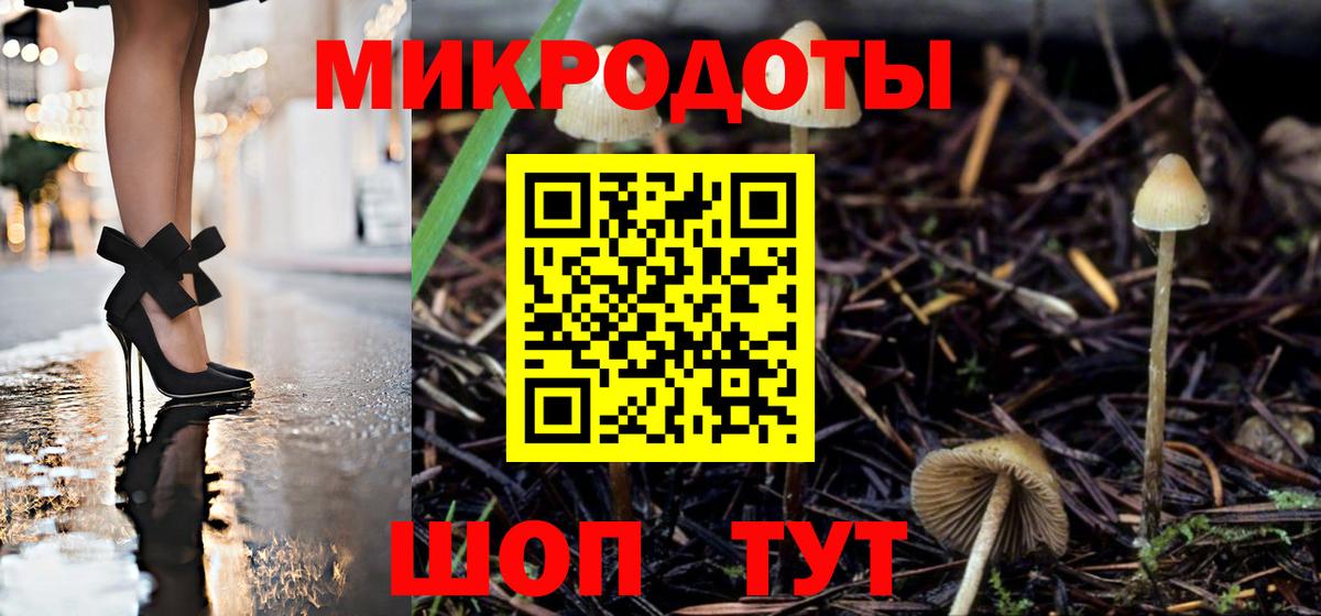 даркнет сайт  Вход с VPN  Галлюциногенные грибы Psilocybine cubensis  Сухой Лог  Галлюциногенные грибы мицелий 